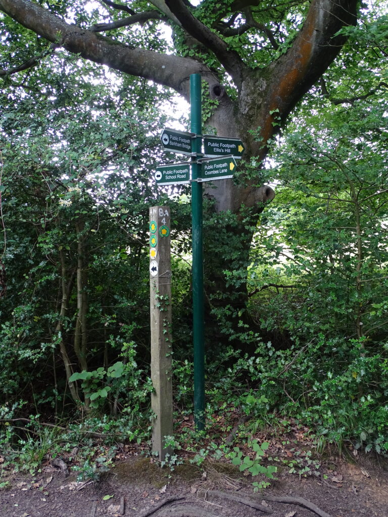 Image showing a directional signpost in woodland